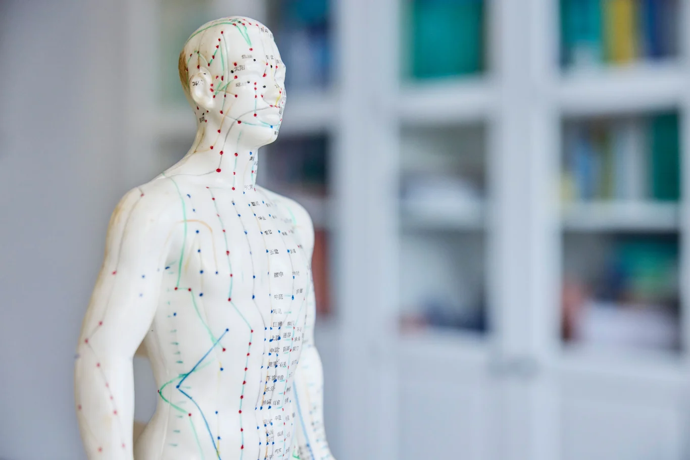 Osteopathiezentrum Praxis Angermann Kamenz Praxis Modell